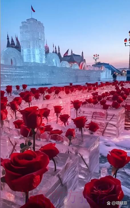 西維爾馴「馬」在即